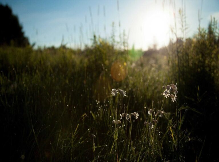 andreea bostanica nud