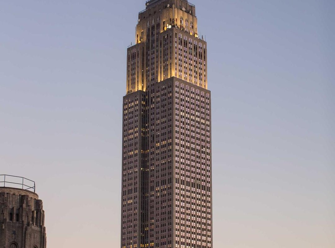 Link Baby Suji vs. The Alternatives: A Head-to-Head Comparison